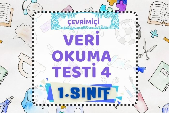 VERİ TOPLAMA TESTİ 4